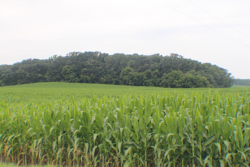 X County Road 136
