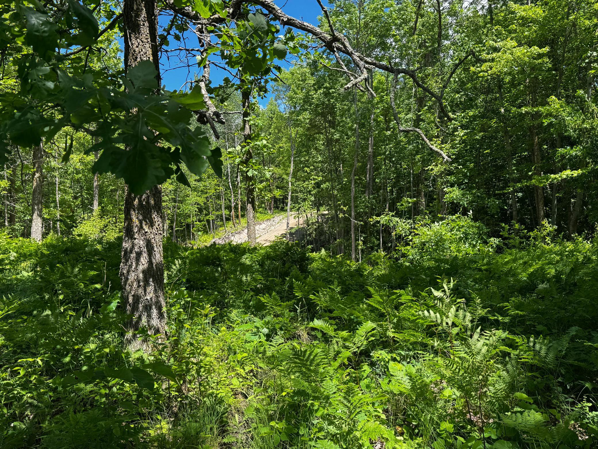TBD Wolf Creek Road
