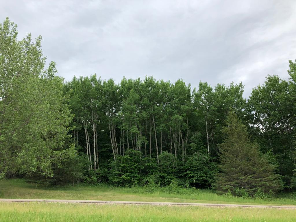 27945 Timber Lane Road, Paynesville, MN