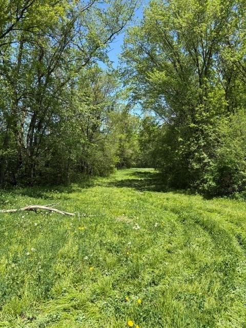 TBD Highway 55