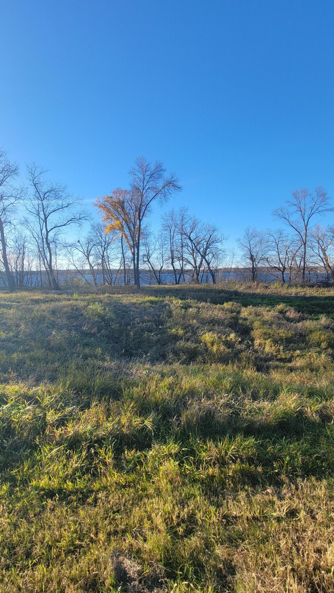 TBD Lot1 County Road 9 NE