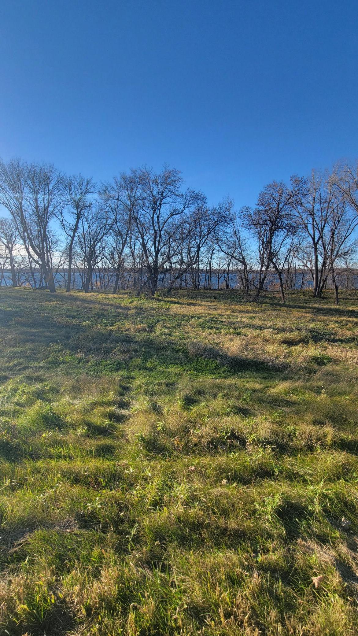 TBD Lot 6 County Road 9 NE