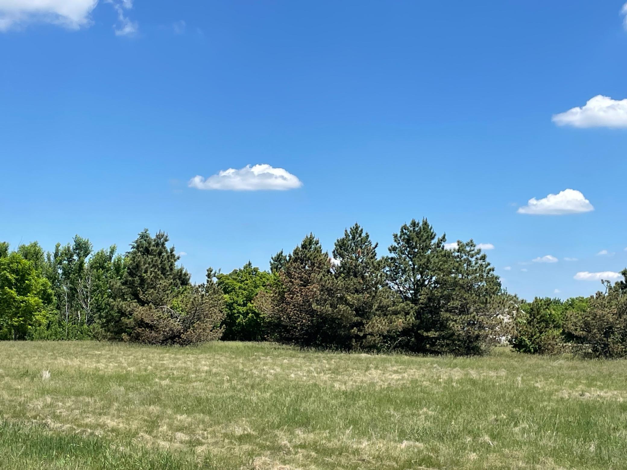 TBD Turtle Creek Circle, Cold Spring, MN
