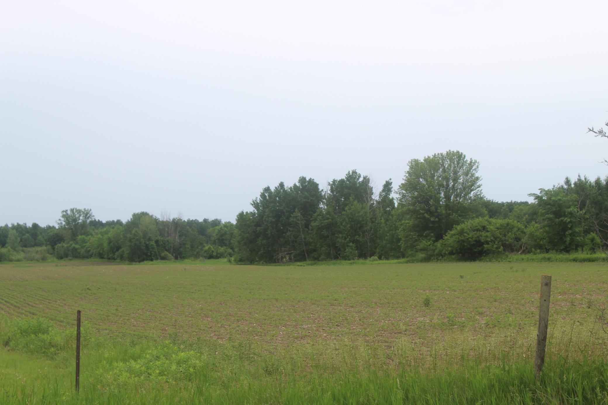 TBD-1 120th Avenue