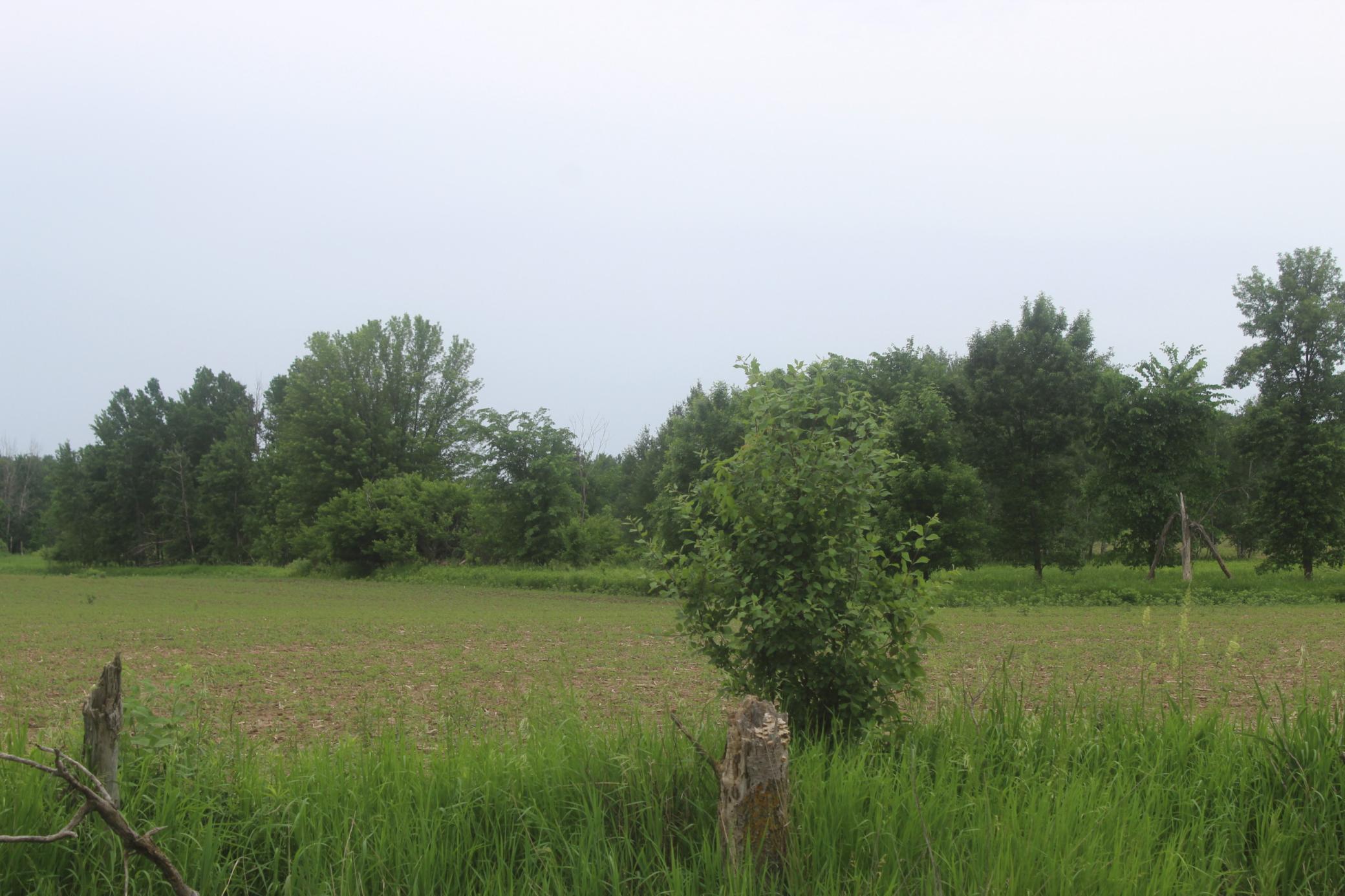 TBD-1 120th Avenue