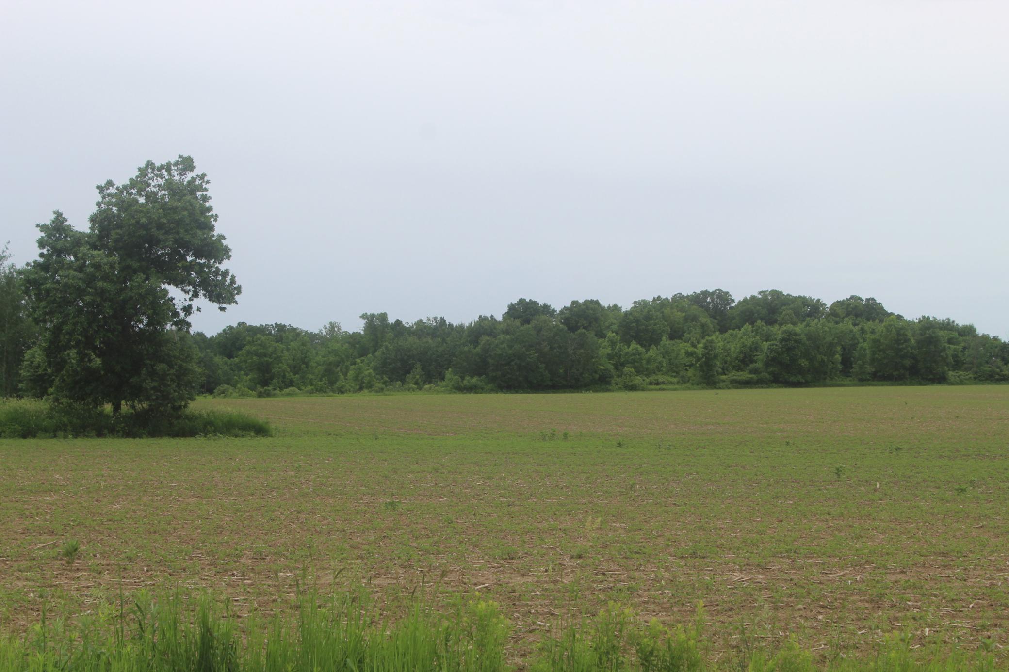 TBD-1 120th Avenue