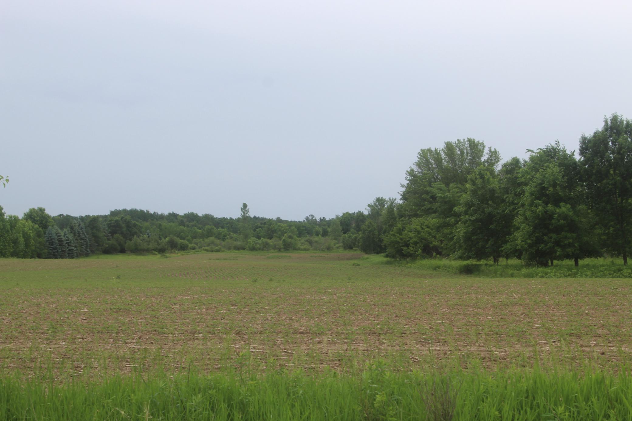 TBD-1 120th Avenue