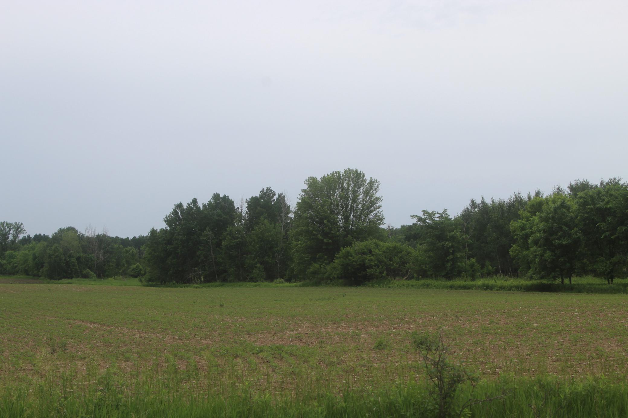TBD-1 120th Avenue