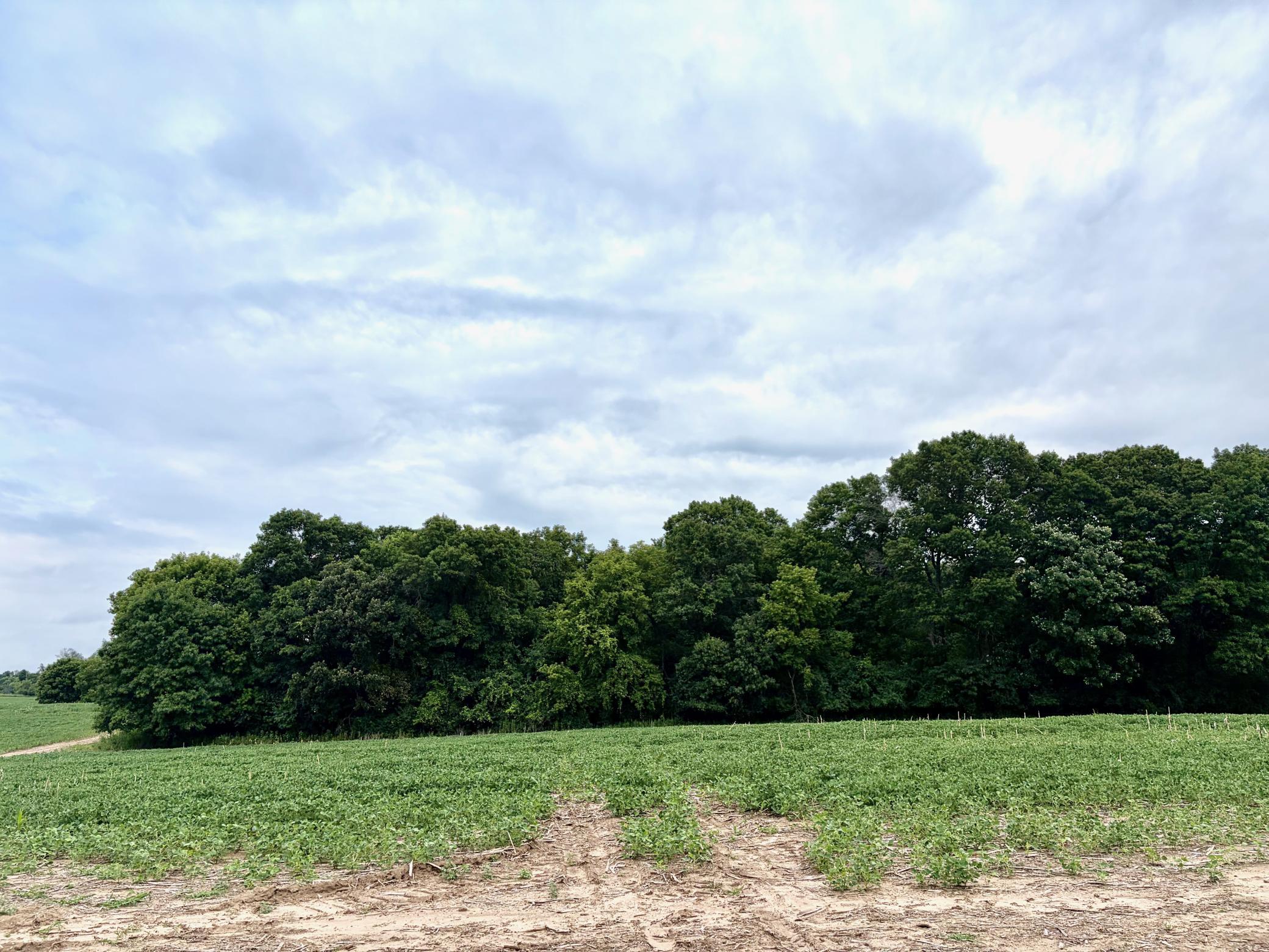 TBD (L10B2) County Road 5 NW