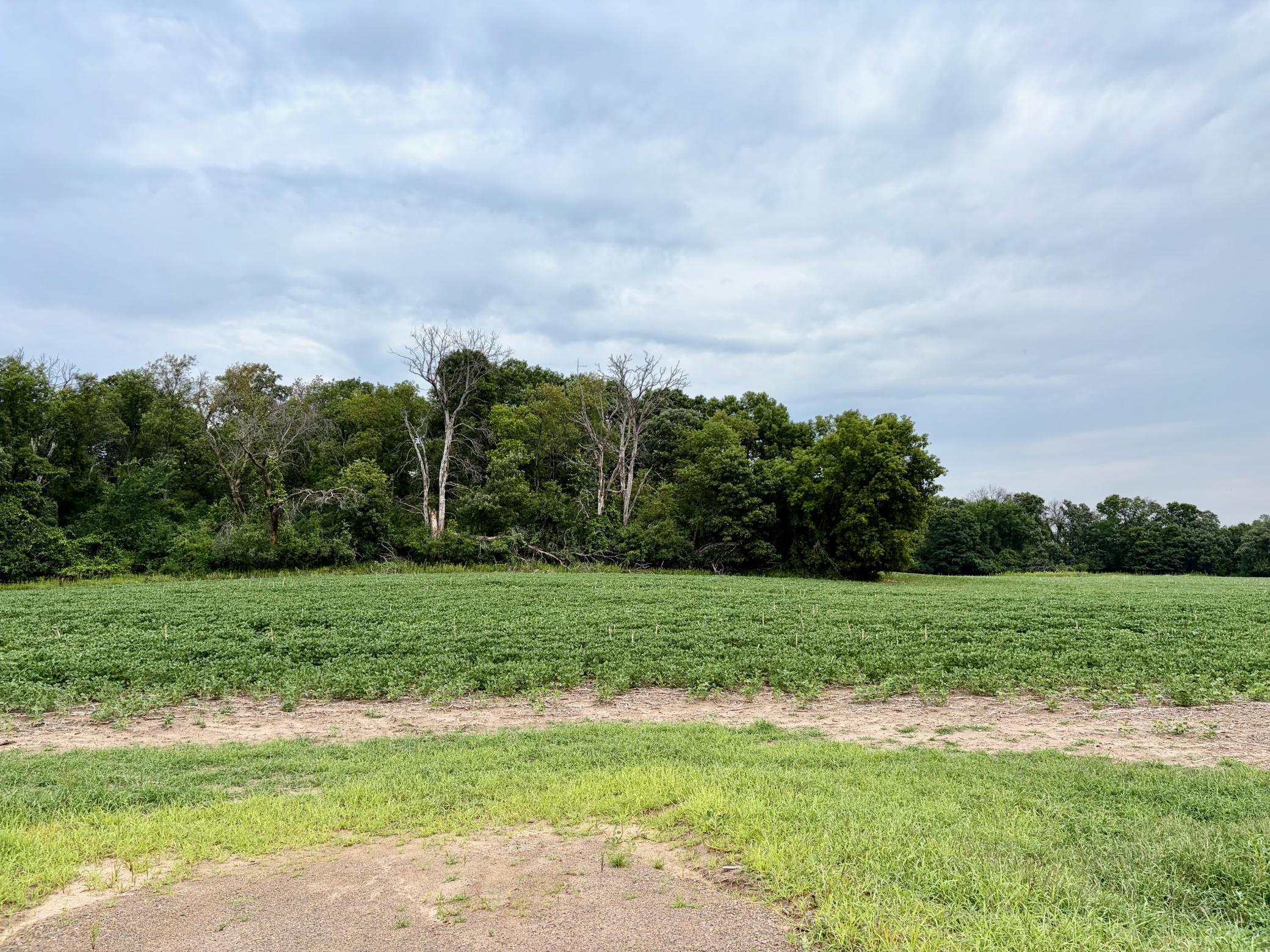 TBD (L11B2) County Road 5 NW