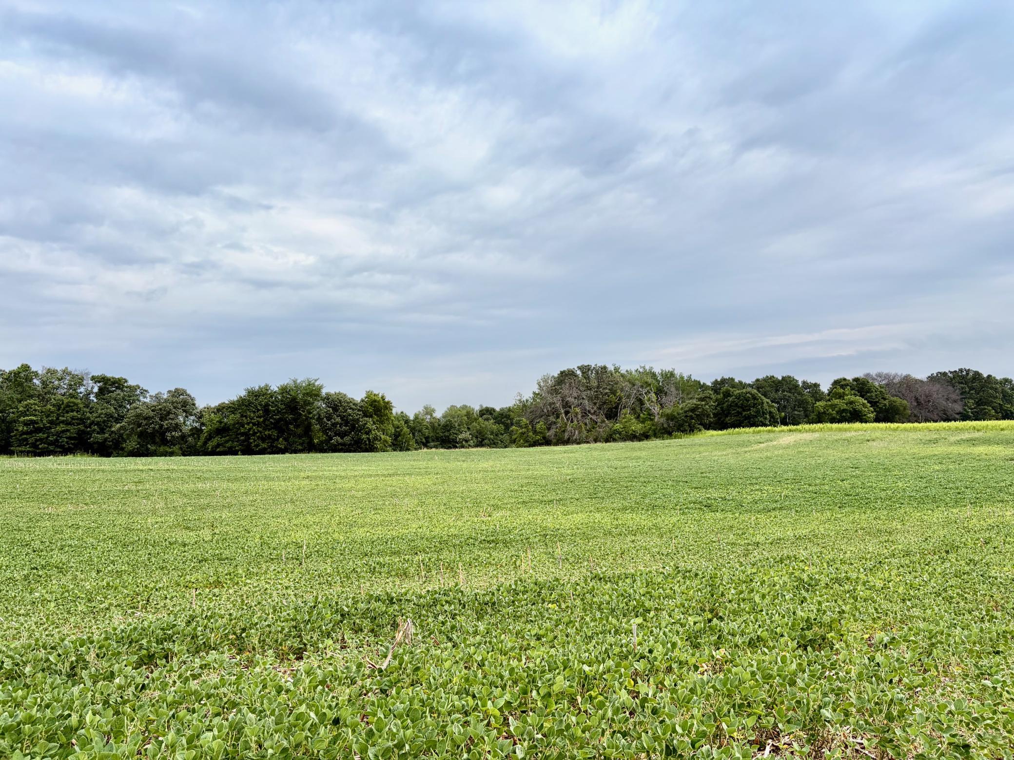 TBD (L12B2) County Road 5 NW