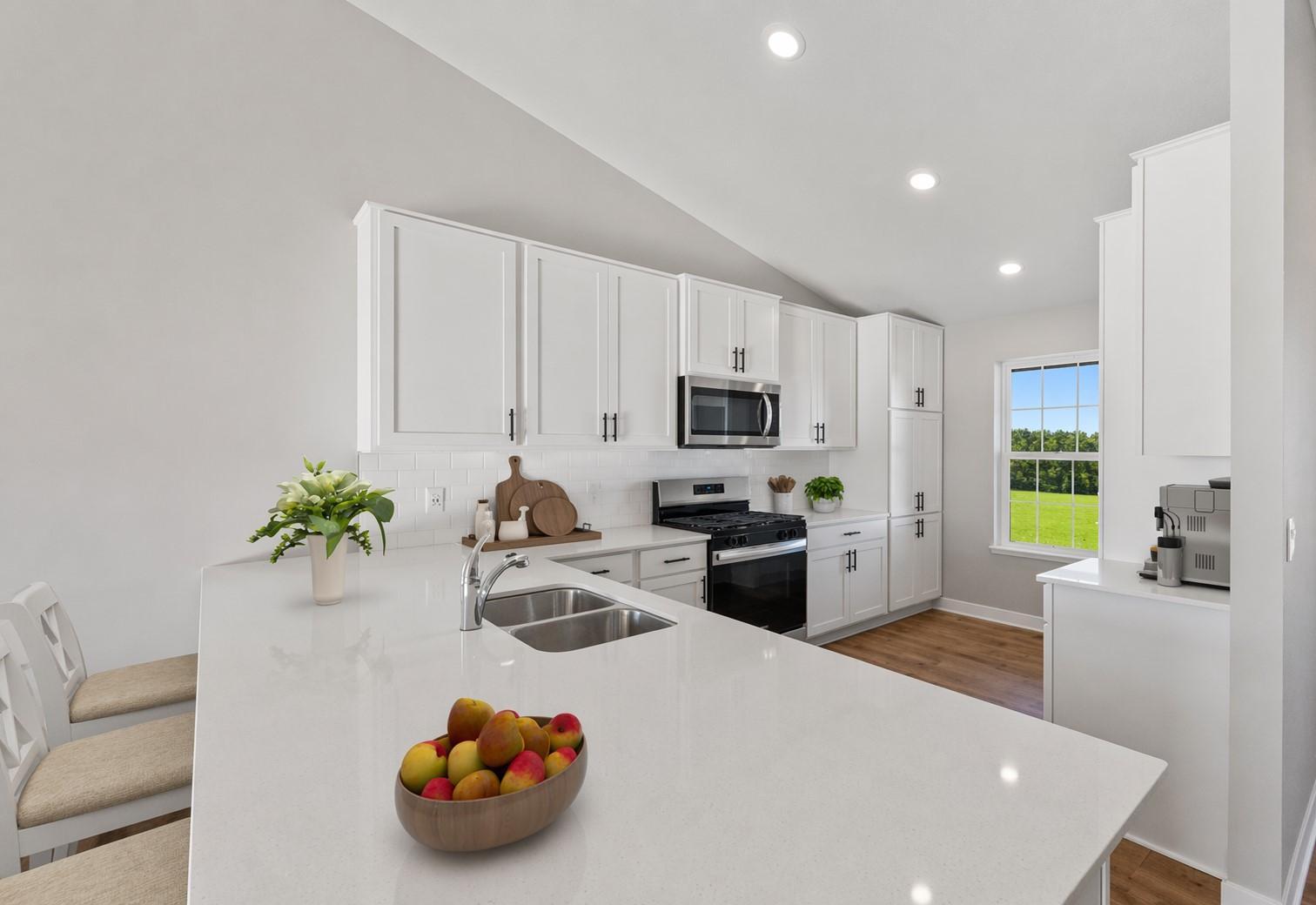 1656 Shasta Drive
