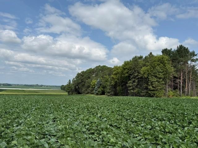 Lot B Lehigh Road