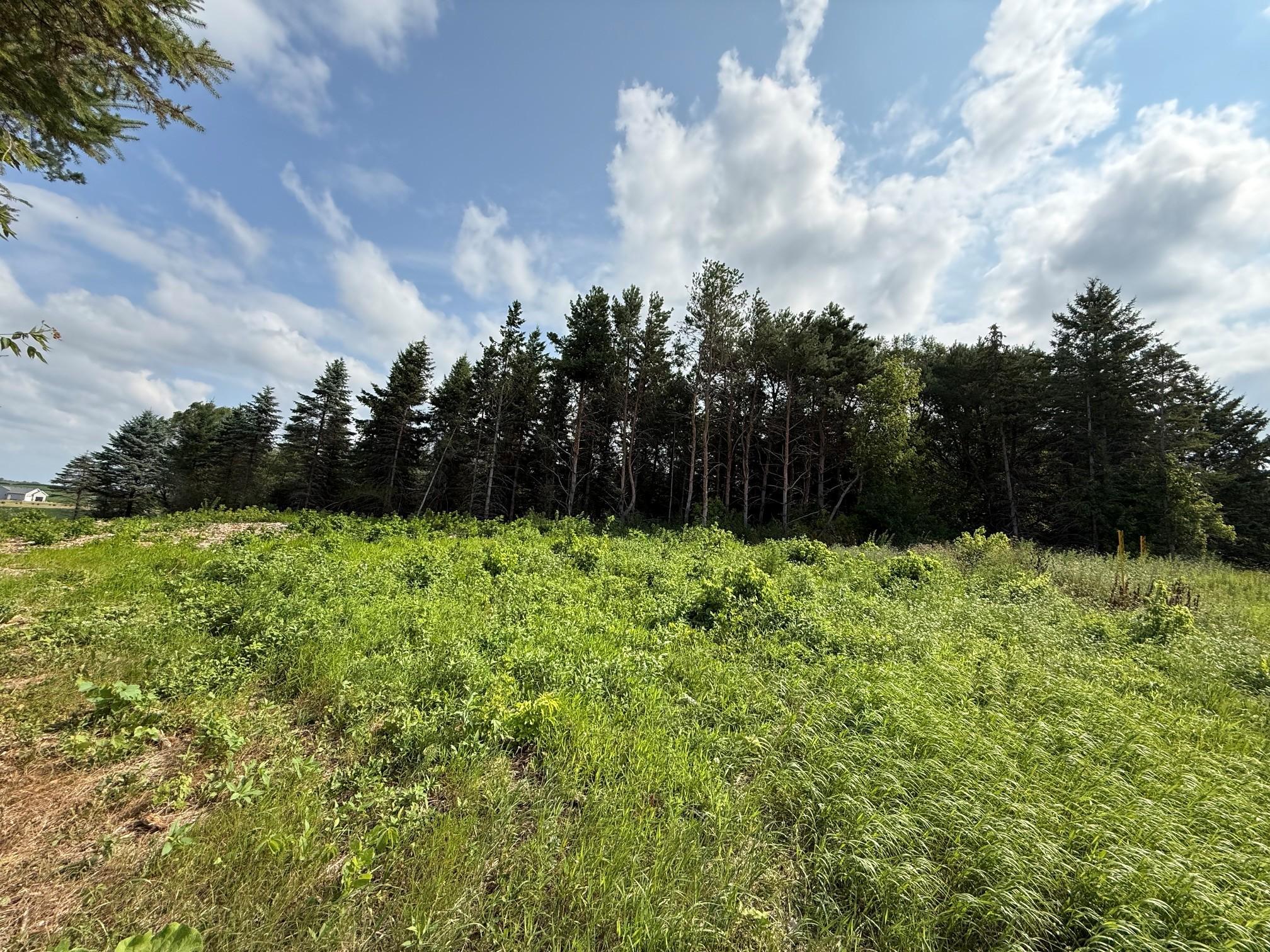 Lot B Lehigh Road