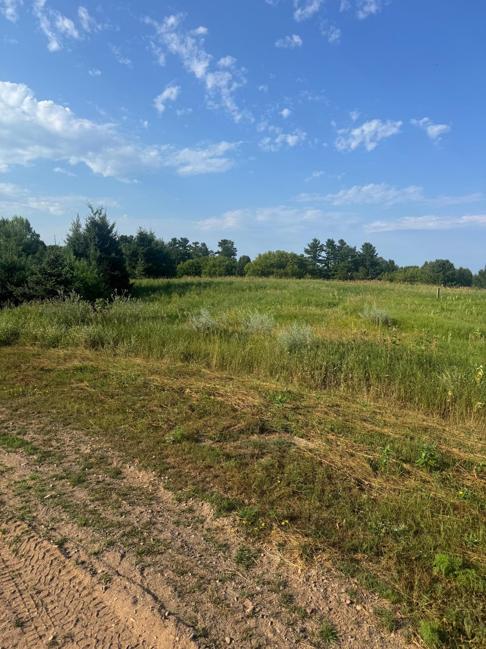 TBD 256th Lane