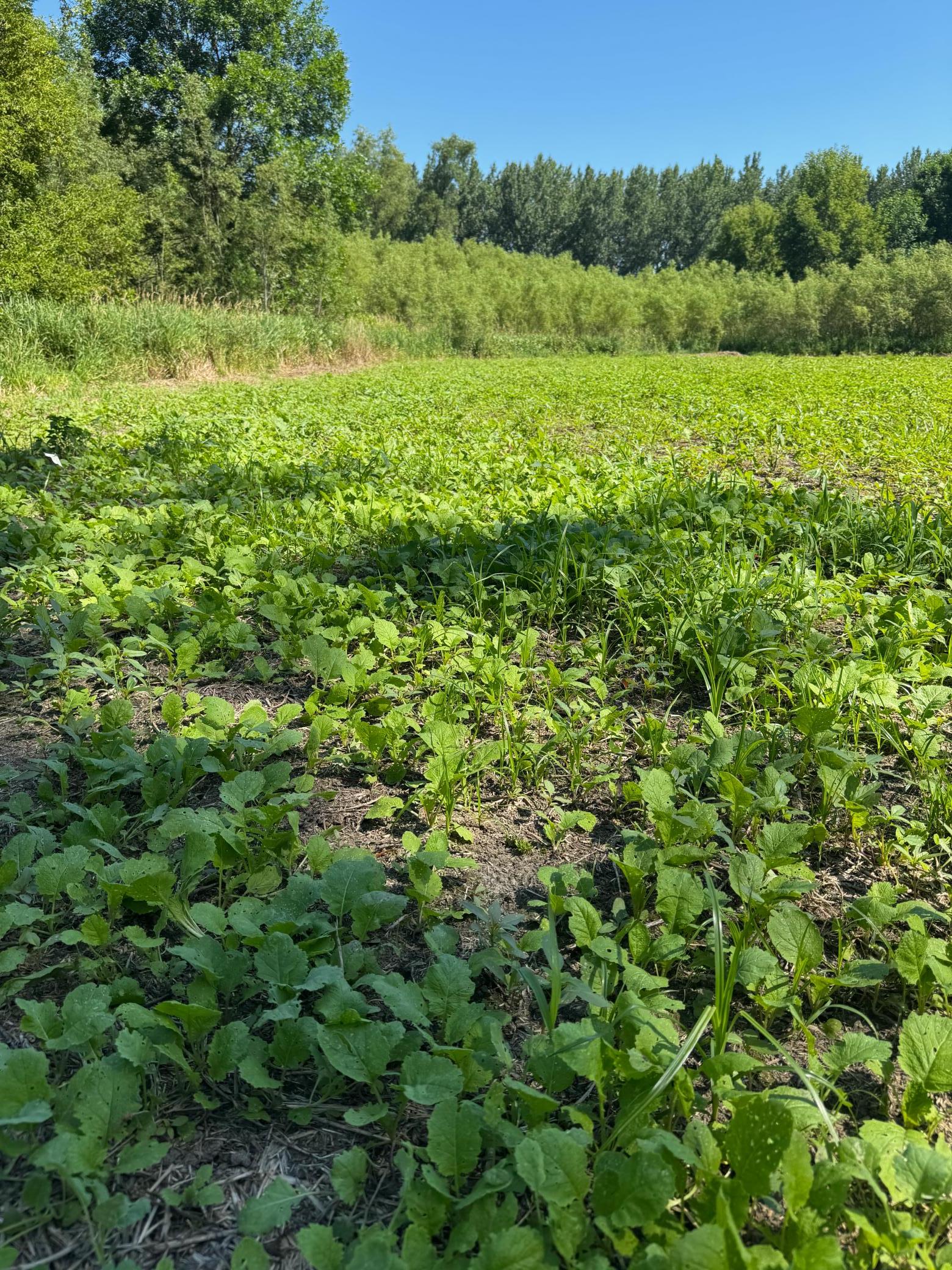 TBD US HWY 169