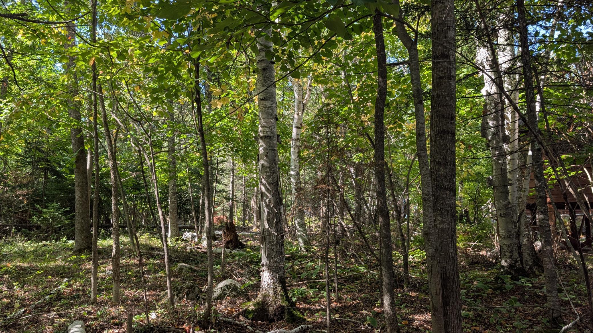 Lot A Everett Bay Rd