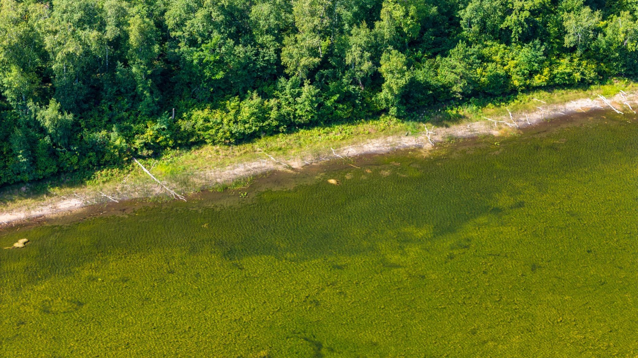 Lot 8 Park Preserve Trail NE